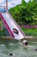1791631926390.webp