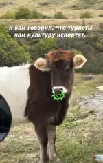 туристы.webp