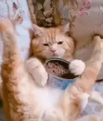 1791711947667.webp